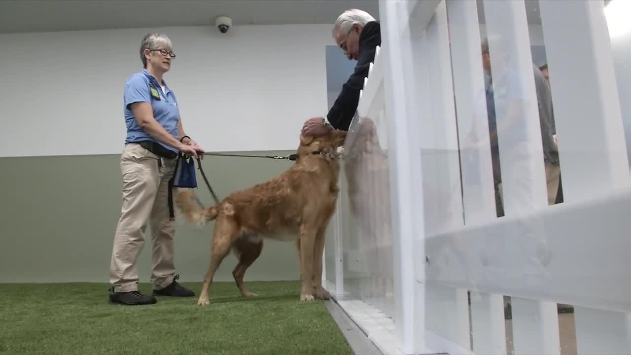 Owners, pets relieved by new addition at JAX